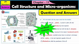 Cell Structure and Microorganisms  Question Answers  Class 7  Science  Maharashtra Board [upl. by Rind]