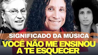 VOCÊ NÃO ME ENSINOU A TE ESQUECER  HISTORIA DA MUSICA DE FERNANDO MENDES [upl. by Narmi153]