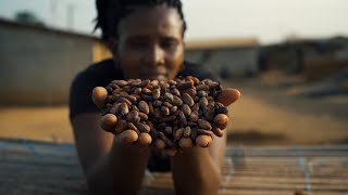 How Fairtrade became the world’s largest fairtrade system [upl. by Weintrob]