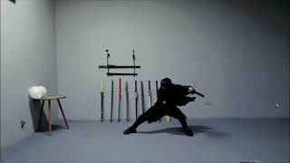 Challenge the first speed record of swordsmanship [upl. by Azmah849]