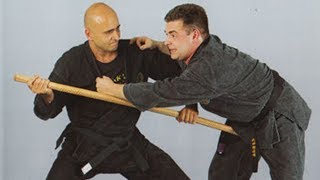 Ninjutsu  Techniques du Bujinkan Budo Taijutsu [upl. by Nnylf]