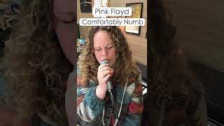 Pink Floyd  Comfortably Numb [upl. by Neelhtakyram]