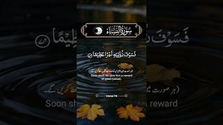 Surah AnNisa Ayat 74  Beautiful Recitation by Saad AlGhamdi  quran recitation  shorts [upl. by Aleedis]