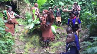 Culture dance of Batwa in Bwindi Impenetrable forest [upl. by Malissia553]