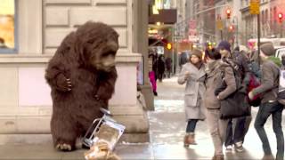 Bear in NYC Prank [upl. by Danialah]