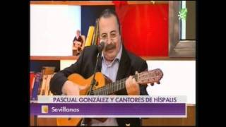 Sevillanas  Cantores de Hispalis  Queridos Companeros [upl. by Einial]