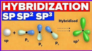 Hybridization class 11th chapter 1 NCERT  CBSE  All board exams class11th chemistry [upl. by Kendra]