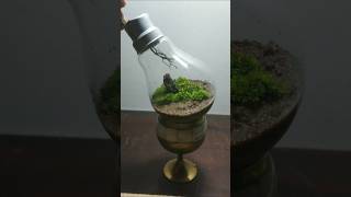 How to making a terrarium in a bulb💡🌱 shorts terrarium moss [upl. by Domenech]