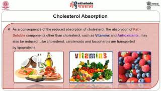 Plant Sterols – Stanol Esters Soy Phytoestrogens [upl. by Hafital]