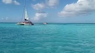 Saona Island Natural Pool  Dominican Republic [upl. by Carolan]