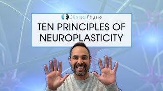 The Ten Principles Of Neuroplasticity Rehab  What you need to think about [upl. by Kempe]