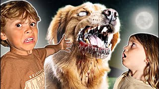 You WONT believe how we FOUND our dog SCARY [upl. by Seaver]