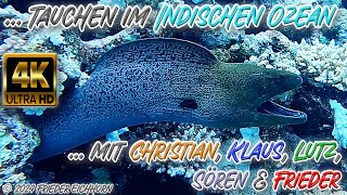 Tauchen im Indischen Ozean 🦞 🐟 🐠 [upl. by Hoeg]