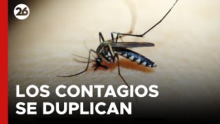 ARGENTINA  EN VIVO  Se duplican los contagios de dengue en Buenos Aires [upl. by Bernarr15]