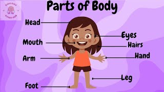 Parts of Body Body Parts for Kids Learn English Educational video Kidokidzstoryhub [upl. by Elimay]