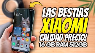 5 MEJORES TELEFONOS XIAOMI CALIDAD PRECIO QUE DEBES COMPRAR AHORA [upl. by Merideth]