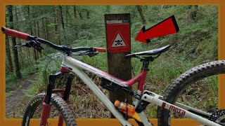 Gwydir Forest with Sam on his new bike  off piste [upl. by Talya]