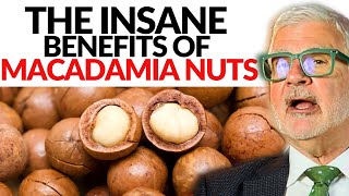 The Insane Health Benefits of Macadamia Nuts  Dr Steven Gundry [upl. by Silvana345]