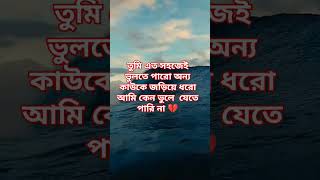 banglasong obosthan sad [upl. by Tlevesor]