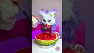 Wie essen Katzen Wassermelonen 🍉 [upl. by Middle]