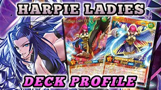 Harpie Ladies DECK PROFILE  YUGIOH RUSH DUEL [upl. by Boorman]