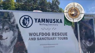 190 From Yamnuska Wolfdog Sanctuary continue to Grassi Lake Camrose Alberta [upl. by Hatcher]