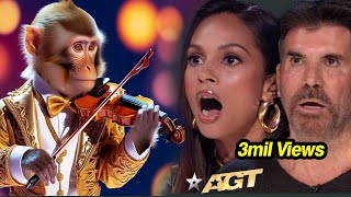 First Monkey to Play an INSTRUMENT on AGT Emotional Audition  Everyone Tears agtmagic viralvideo [upl. by Aramak689]