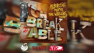 Alborosie ft Chronixx  Contradiction  Alborosie Meets The Wailers United UNBREAKABLE [upl. by Jb]