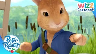 OfficialPeterRabbit  Chased by the Fox  ActionPacked Adventures  Wizz Cartoons [upl. by Ennaesor]