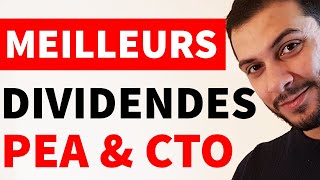 Le meilleur portefeuille à dividende 2021 30 actions à copier [upl. by Deedahs]