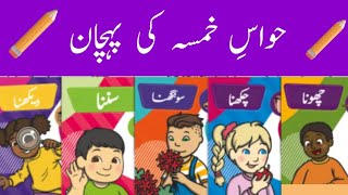 Senses name in Urdu حِسوں کے نام sense organs name 5 senses [upl. by Evan]