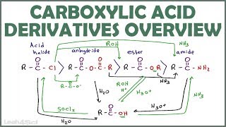 Carboxylic Acid Derivatives Overview and Reaction Map [upl. by Vinay195]