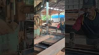 Penggergajian kayu keruing wood bandsaw [upl. by Pollack898]