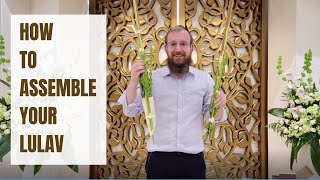 How To Assemble Your Lulav [upl. by Hammock339]