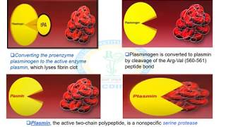 THROMBOLYTIC DRUGS [upl. by Suirrad]