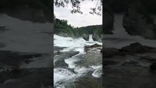 RHEINFALL водоспад [upl. by Sebastiano]