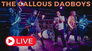 The Callous Daoboys  Title Track amp Contrail Crucifix live in Montreal [upl. by Pallaten]