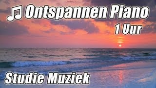 PIANO Instrumentale 1 uur Klassieke Muziek voor Studeren Afspeellijst Mooie Ontspannende Sudie lied [upl. by Anelam]