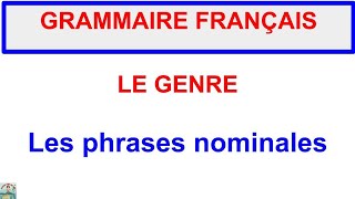 GRAMMAIRE FRANÇAISE  Le genre  Les phrases nominales  ACTIVITÉ 3 [upl. by Ajup]