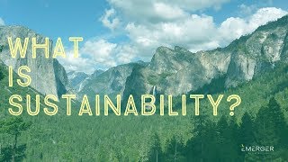 Sustainability 101 What is Sustainability [upl. by Ahsenre]