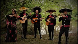 Los Mariachis del Norte [upl. by Yellac]