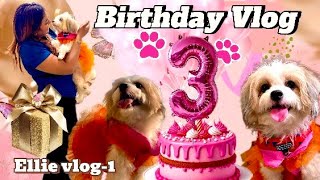 ELLIE’S 3rd SPECIAL BIRTHDAY VLOG🐶🎂  PET FRIENDLY CAFE kolkata 🧿🩷 petfriendlycafe birthdayvlog [upl. by Redleh842]