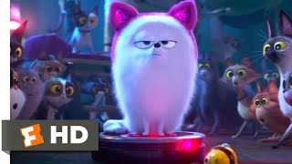 😱 The Secret Life of Pets 2 and 1 🔥 Real Life [upl. by Dorella]