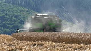 Weizen Dreschen irgendwo der Eifel Deutz Fahr Topliner 6040 HTS Mähdrescher am Hang im August 2017 [upl. by Welton]