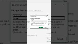 How to Password Protect an Excel File from Viewing [upl. by Nims860]