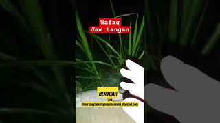 Penjagaan dari kejahatan WAFAQ JAM TANGAN [upl. by Malita]