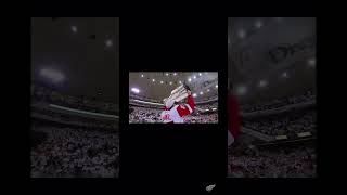 detroitredwings hockeytown stanleycup nhl [upl. by Aicerg478]