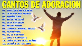 PODEROSAS CANCIONES CRISTIANAS PARA LIBERAR TU MENTE Y EL CORAZÓN 🙏 SUPE QUE ME AMABAS 🙏🙏 [upl. by Denyse]