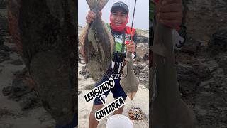 San Quintín Baja California 🇲🇽 que buena pesca hay en el Valle de los Volcanes 🌋🌋🌋 pesca fish [upl. by Armanda]