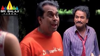 Krishna Movie Venumadhav and Brahmanandam Comedy  Ravi Teja Trisha  Sri Balaji Video [upl. by Yendis100]